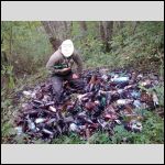 Garbage collectors - you may meet such picture outside of big towns...