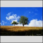 Vladislavs Kļimovs took the 2nd place nominated as "The Most Original Picture"