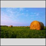 Vladislavs Kļimovs took the 2nd place nominated as "The Most Original Picture"